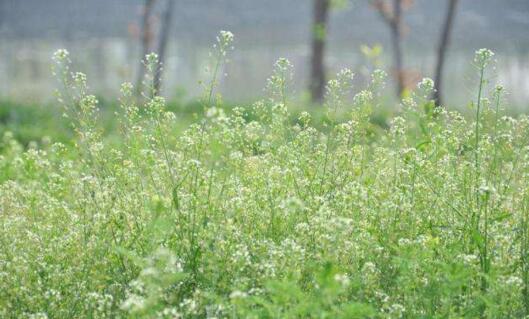 银行经营贷款怎么申请？银行经营贷款需要哪些资料？