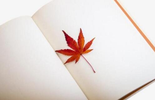 借款平台是什么？网络借贷常识有哪些？