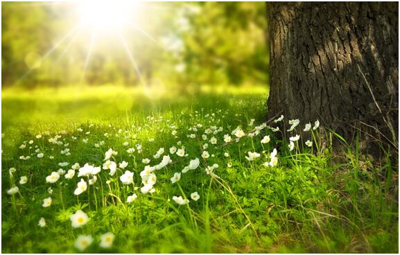 货币基金有风险吗，买什么类型的货币基金靠谱