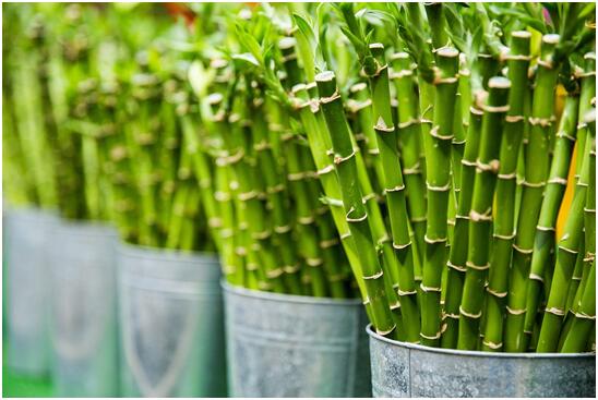 什么是私募基金，私募基金的收益到底怎么样