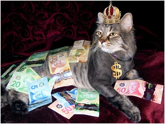 怎样成为基金吧投资达人？基金份额折算亏了一半怎么办？2019指数基金收益排行有哪些？