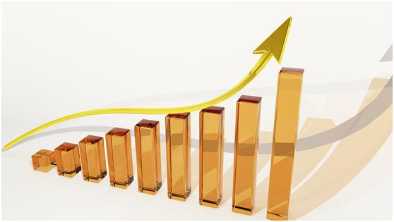 基金每日净值说明什么？查询方法有哪些？