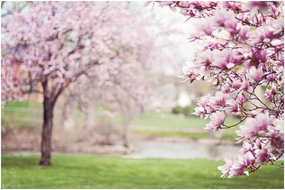 闲置资金如何理财，额度大的理财收益高吗