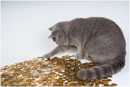  什么是基金股票？基金股票入门有哪些知识？基金与股票区别有哪些？