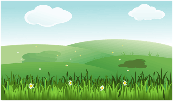 新手如何购买理财产品，买什么理财产品合适