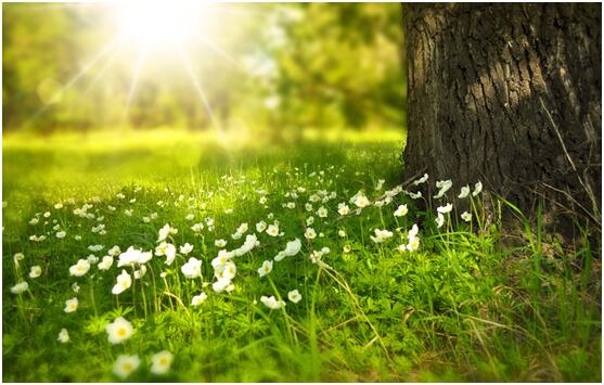 什么理财产品好，哪些产品比较靠谱