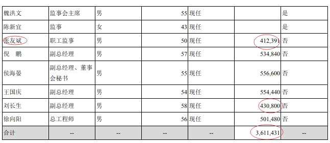 皖能电力2020年年报出错：高管薪酬单位误写 致高管总薪酬高达361亿元