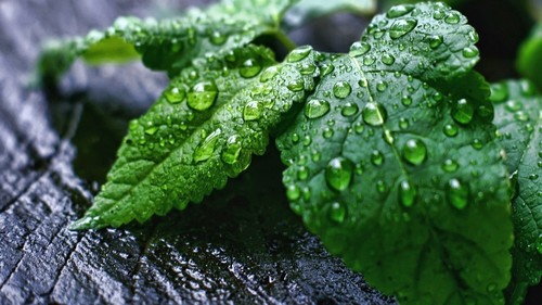 [基金大盘小盘]小盘基金与大盘基金有什么不样