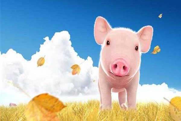 猪肉降价，对猪肉股票有啥影响？