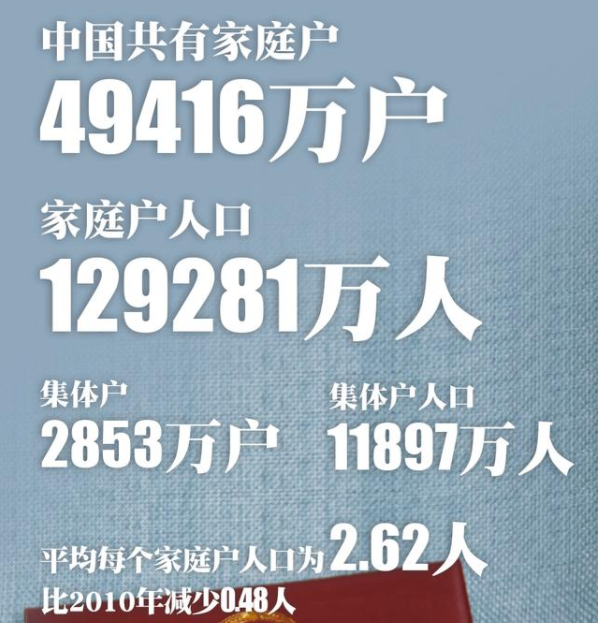 中国平均每个家庭户人口不足3人意味着什么，形成原因是什么，如何应对家庭规模变小