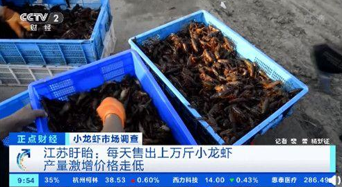 小龙虾一斤降价十几元是为什么，小龙虾的来历是什么，小龙虾为什么这么火