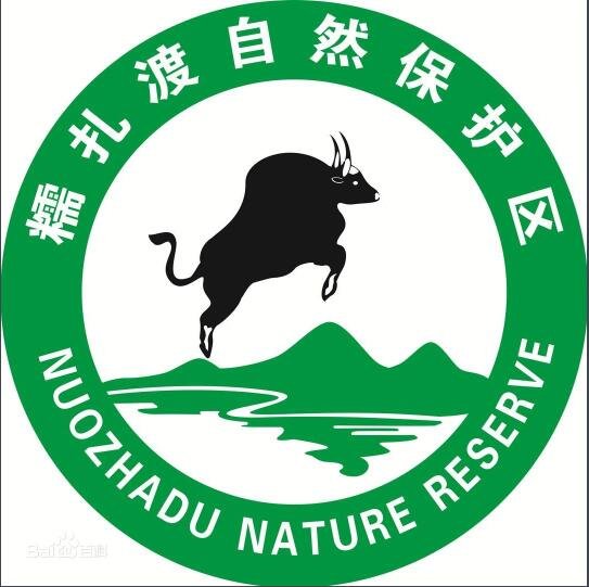 “五爪金龙”现身云南普洱具体位置，五爪金龙有毒吗它是什么动物