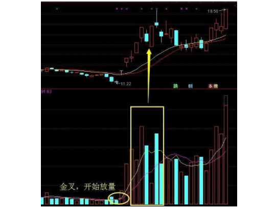 万能选股法怎样选股呢？具体怎么分析操作？