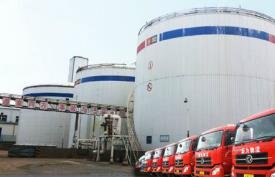 上海雅仕2020年业绩说明会：  业绩开花扭亏为盈，深耕工业供应链做精做强