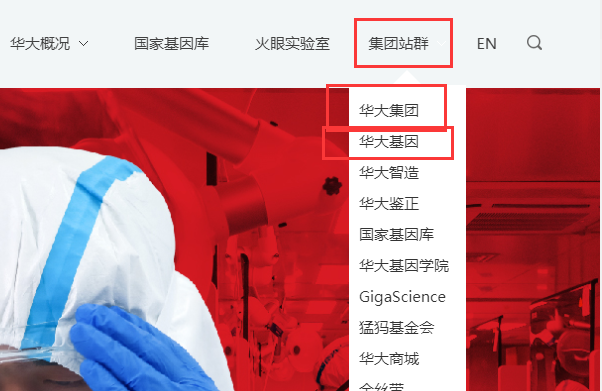 华大集团做什么的，华大集团是国企还是私企，华大集团老板是谁