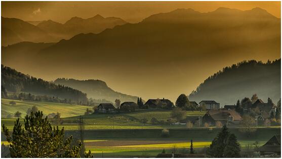 车险有哪些，选购中需要注意什么？