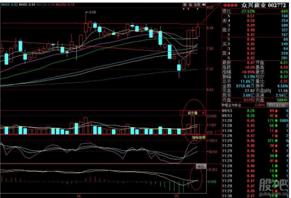 放量涨停好吗？还是缩量涨停好？选股的时候应该注意什么？