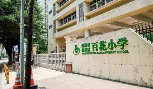 深圳顶级学区房最高下调55万到底是怎么回事，深圳学区房的房价到底有多高