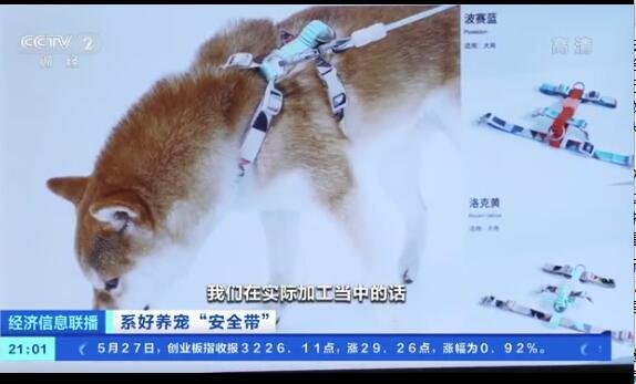 犬绳销量暴增增长了多少，犬绳销量为何会暴涨，犬绳的市场前景如何？
