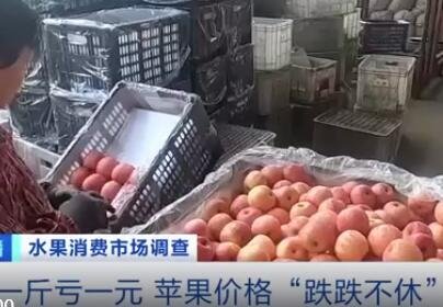 卖1斤亏1元 苹果价格大跌滞销是为什么，未来苹果价格会一直下跌吗，现在价格是多少