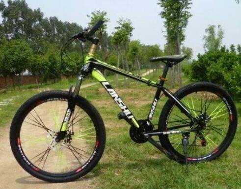 飞鸽二八大杠生产已超3亿辆，二八大杠为什么这么叫，中国自行车的市场行情如何