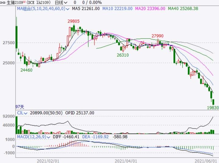 养一头猪从赚3000元到亏千元，猪肉价格为何跌跌不休，当前猪肉价格多少