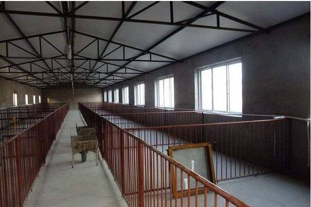 养一头猪从赚3000元到亏千元，猪肉价格为何跌跌不休，当前猪肉价格多少