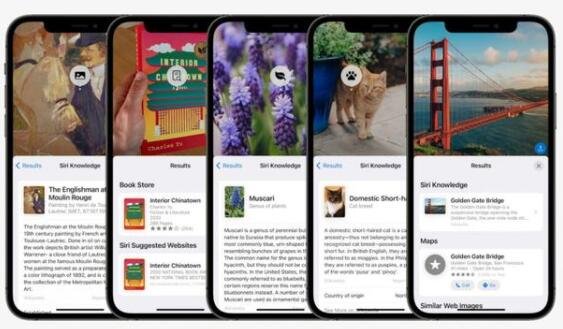 苹果正式发布iOS 15升级哪些应用，ios15 支持机型有哪些，苹果还升级了什么