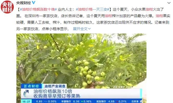 油柑价格飙涨数十倍，油柑价格上涨带动了哪些产业，为什么油柑在茶饮店爆火