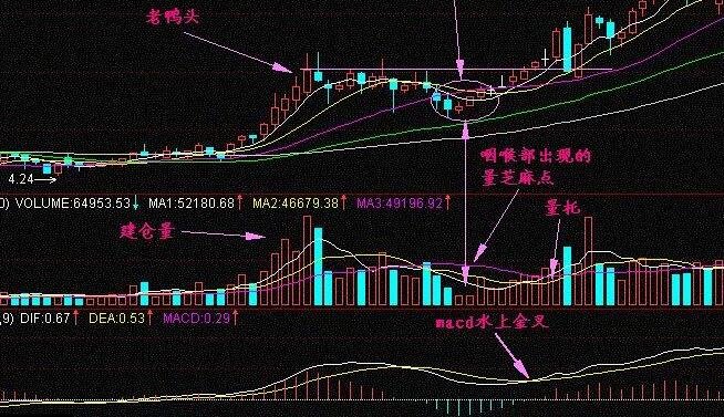 瑞贝卡股票怎么不涨，瑞贝卡股票的走势如何
