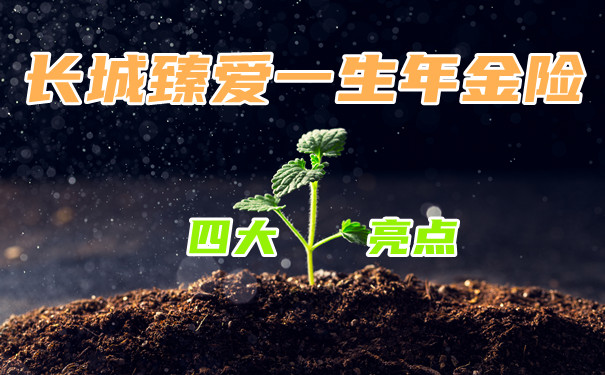 四大亮点!长城臻爱一生年金险如何?投保案例演示
