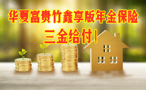三金给付!华夏富贵竹鑫享版年金保险怎么样?收益好不好?案例