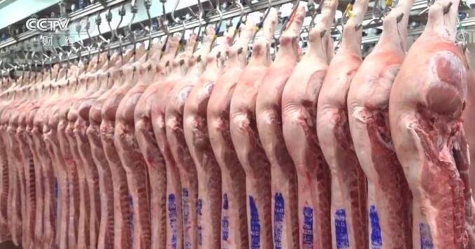 中央储备冻猪肉将收储2万吨，中央储备肉一般在何时投放，投放储备肉对市场有啥影响