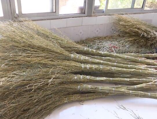 山东一村庄卖扫帚年产值超5千万是真的吗，扫帚是怎样产生的，笤帚和扫帚有什么区别