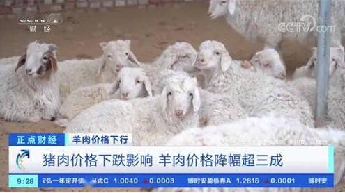 羊肉价格降幅超三成是怎么回事，羊肉价格为什么下降，羊肉的产量怎么样
