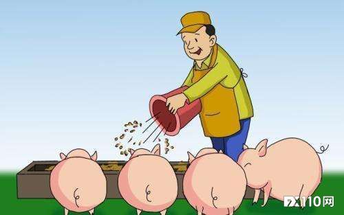 【汇查查曝光】有温度的“杀猪盘”，最后让你一无所有！