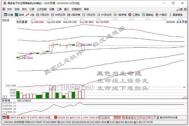 古井贡酒定增募资50亿元 股价一路走高