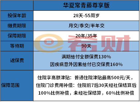 华夏常青藤尊享版怎么样？