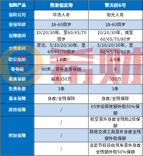 华贵大麦兜来保和擎天柱对比，哪款更好？