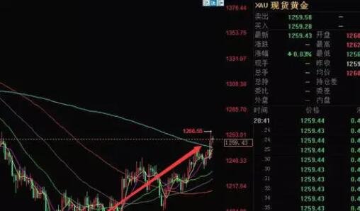 在金融交易市场中，股票、基金、黄金之间有什么区别？