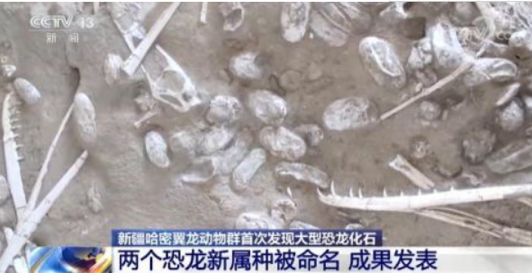 新疆哈密首次发现大型恐龙化石.png 新疆哈密首次发现大型恐龙化石如何命名,恐龙化石是怎么形成的,恐龙化石的作用是什么