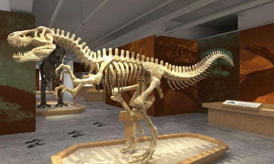 新疆哈密首次发现大型恐龙化石如何命名，恐龙化石是怎么形成的，恐龙化石的作用是什么