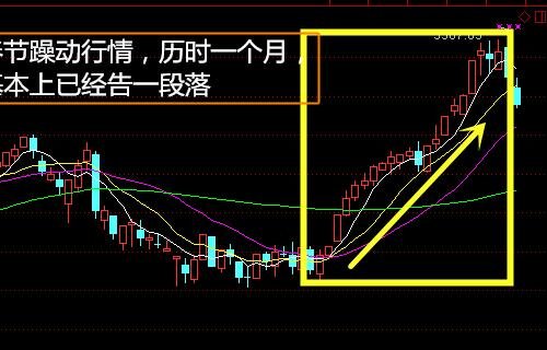 遭遇黑天鹅的股票会怎么样？怎么避免股票黑天鹅？