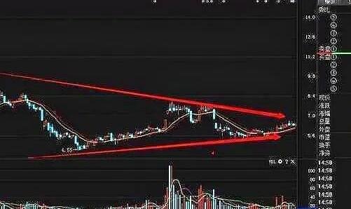 遭遇黑天鹅的股票会怎么样？怎么避免股票黑天鹅？