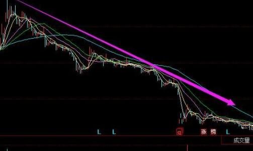 股票上怎么躲过黑天鹅？股票黑天鹅壁垒方式