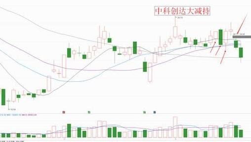 股票上怎么躲过黑天鹅？股票黑天鹅壁垒方式
