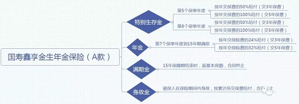 国寿鑫享金生年金保险A款怎么样?收益如何?值得购买吗?