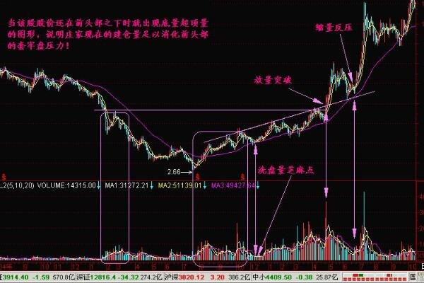 股票和债券收益的的区别，债券收益和股票有什么不同之处
