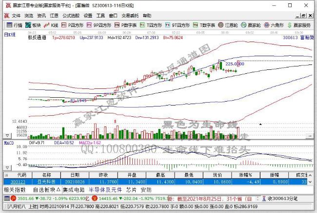 178只创业板股公布最新股东户数 环比上期下降82只