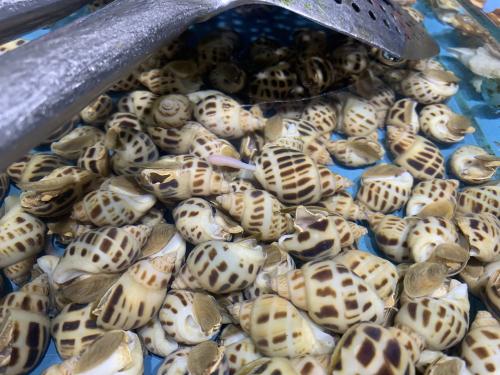 李鸣钟：前七月深交所通报上市公司40家次 涉及人员逾260人